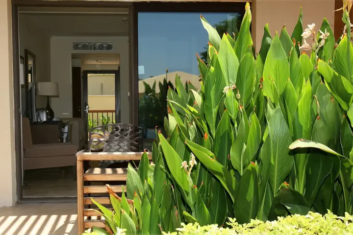 Акаба: Grand Tala Bay Resort, Aqaba