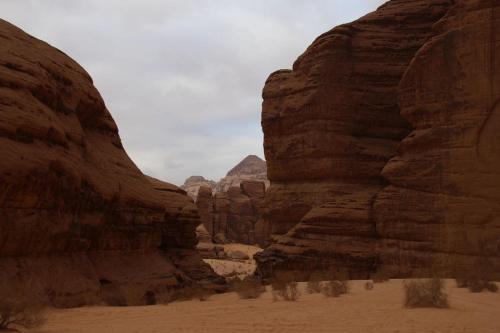 Вади-Рум: Bed & Breakfast Camp Mohamed Alzwaida