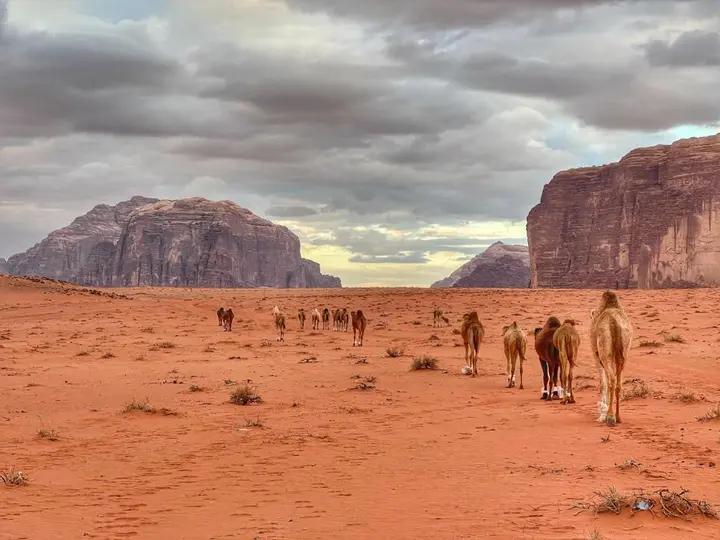Вади-Рум: Wadi Rum Bedouin Tour with a Camp