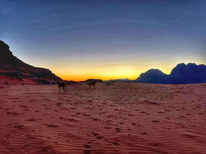 Вади-Рум: Wadi Rum Bedouin Tour with a Camp