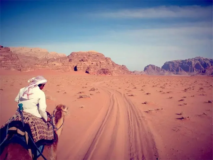Вади-Рум: Wadi Rum Stars Hostel