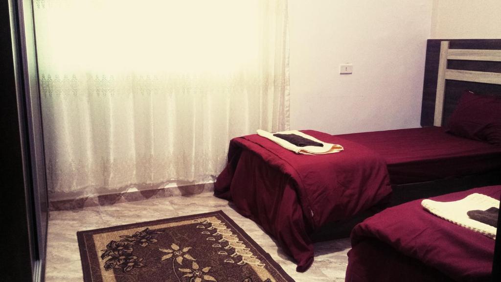 Вади-Муса: Wonderful Friends House