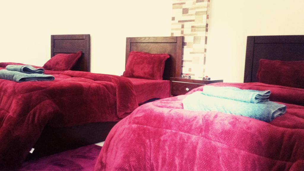 Вади-Муса: Wonderful Friends House