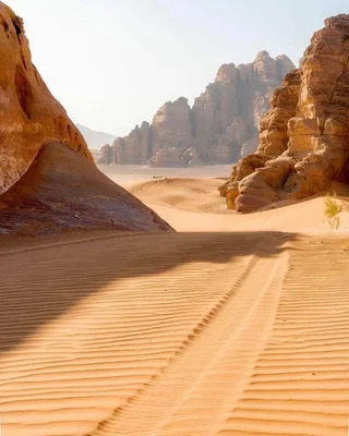 Вади-Рум: Wadi Rum Stargazing Desert Camp Travel