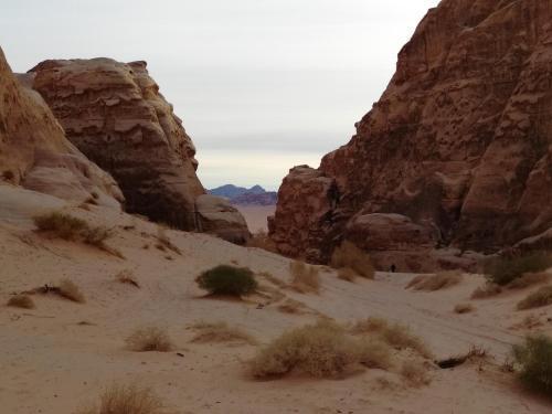 Вади-Рум: Wadi Rum White Mountain Camp