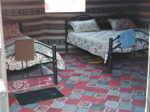 Вади-Рум: Wadi Rum White Mountain Camp