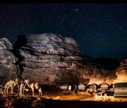 Вади-Рум: Wadi Rum White Mountain Camp