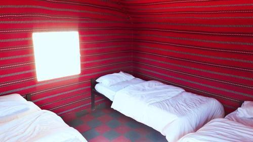 Вади-Рум: Wadi Rum White Mountain Camp