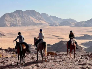 Вади-Рум: Wadi Rum Wanderlust Camp