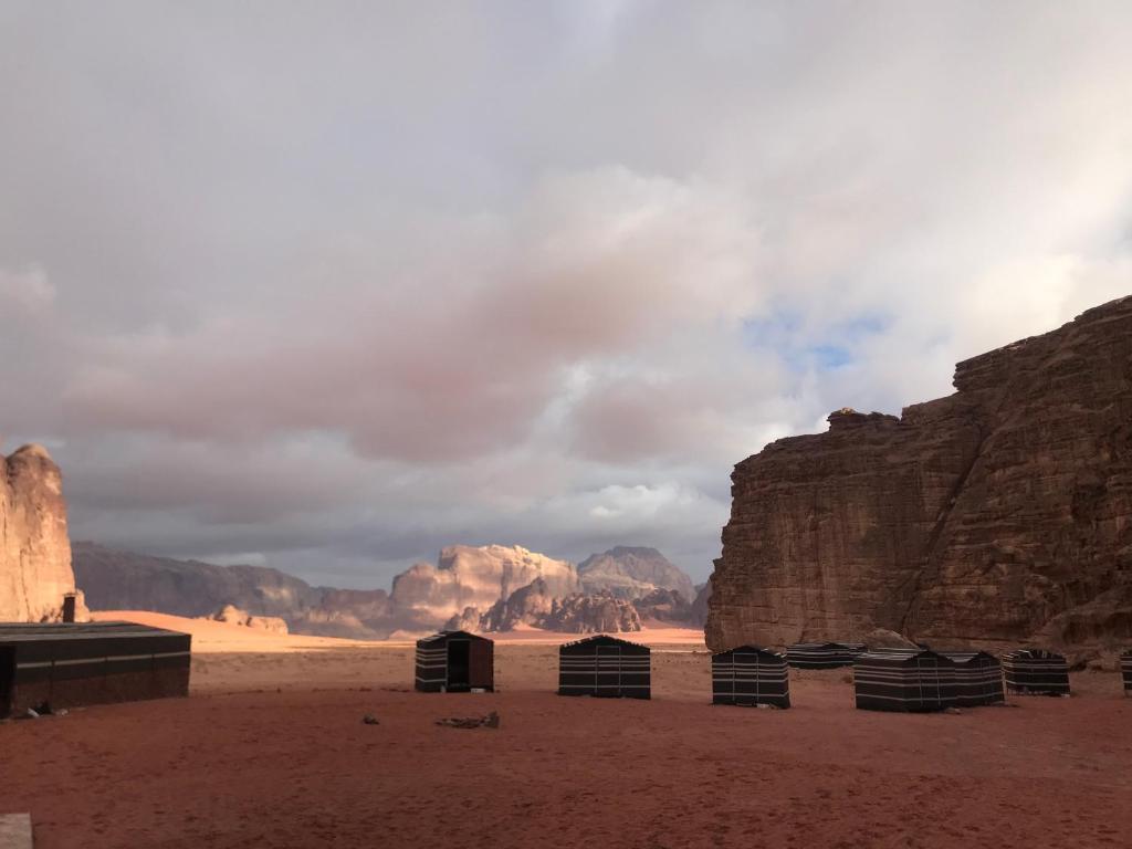 Вади-Рум: Momoo's Camp