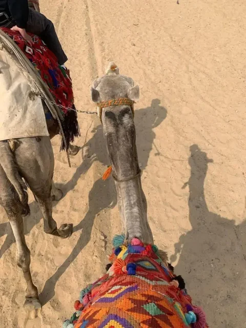 Вади-Рум: Moon life in Wadi Rum