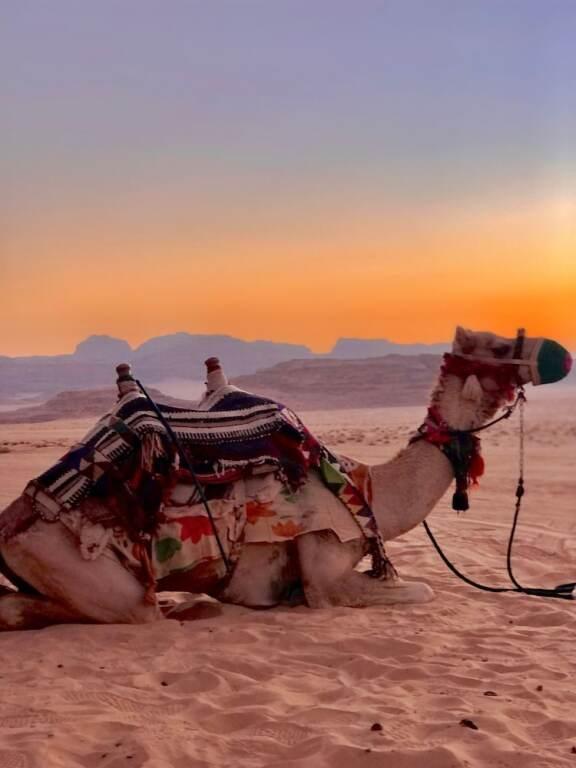 Вади-Рум: Wadi rum boutique camp & jeep tour
