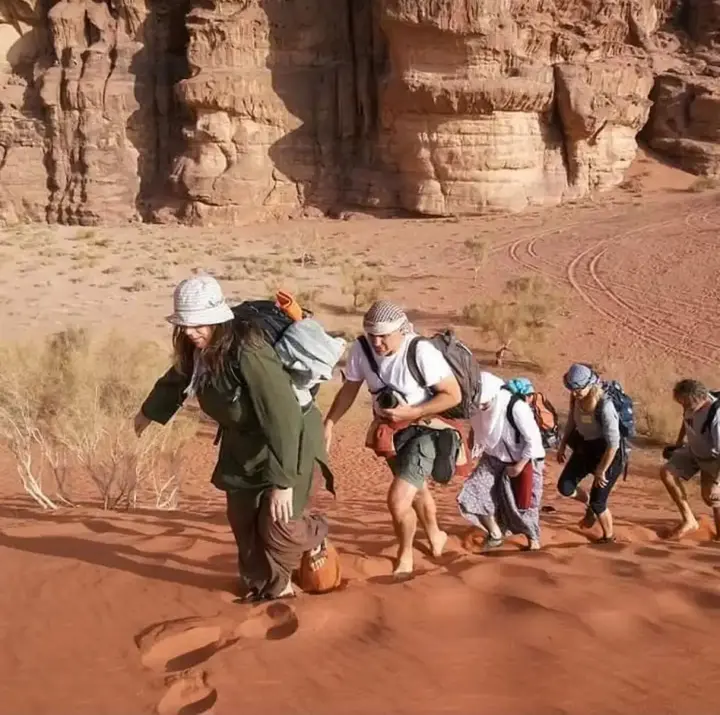 Вади-Рум: Shaheen Camp Wadi Rum