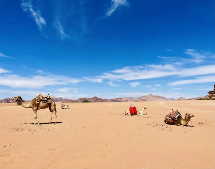 Вади-Рум: Shaheen Camp Wadi Rum
