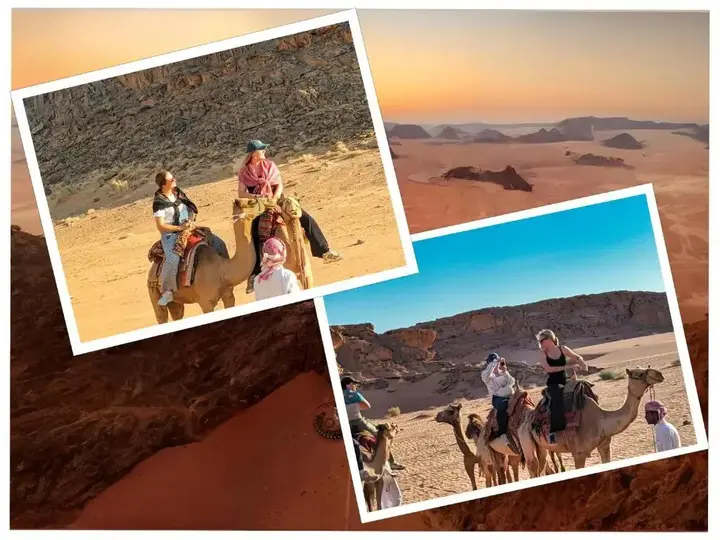 Вади-Рум: Wadi Rum Majestic Camp (Adults Only)