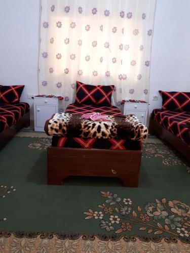 Вади-Муса: Family House in Petra