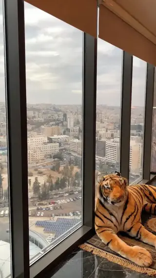 Амман: Damac Tower