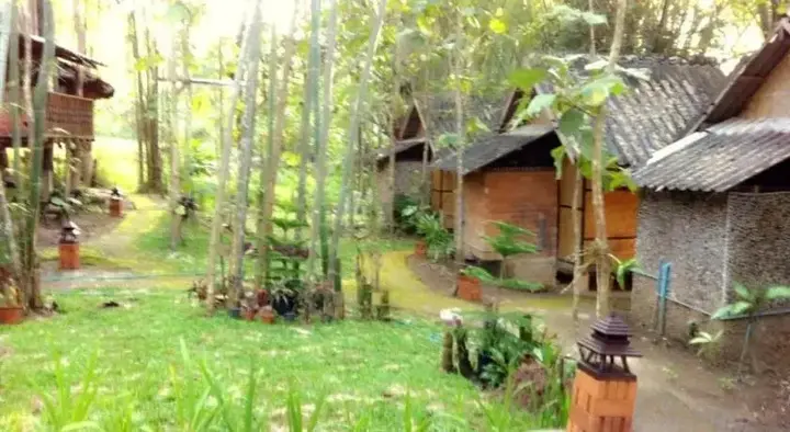 Паи: Chang Pai by John Bamboo Hut