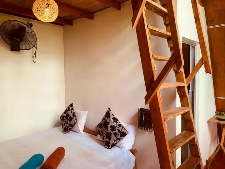 Хабарана: Angry Birds Tree house