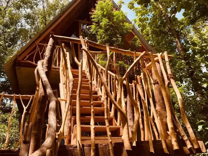 Хабарана: Angry Birds Tree house