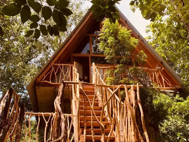 Хабарана: Angry Birds Tree house