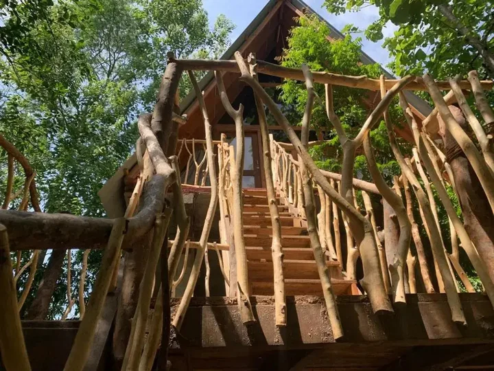 Хабарана: Angry Birds Tree house