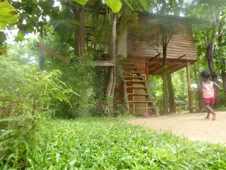 Angry Birds Tree house — фото 2
