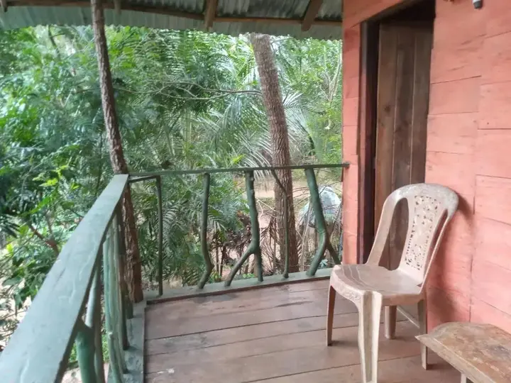 Хабарана: Angry Birds Tree house