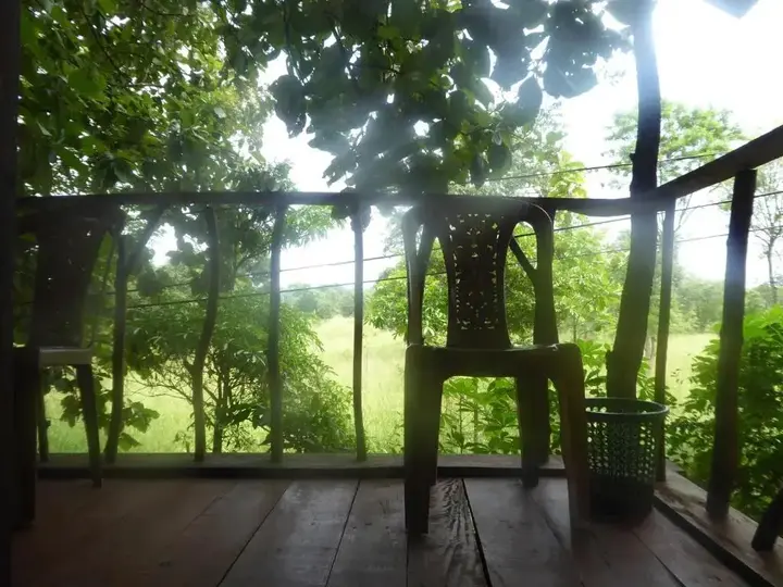 Хабарана: Angry Birds Tree house