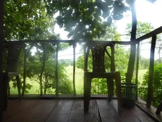 Хабарана: Angry Birds Tree house