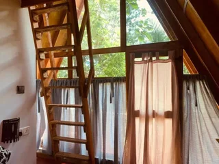 Хабарана: Angry Birds Tree house
