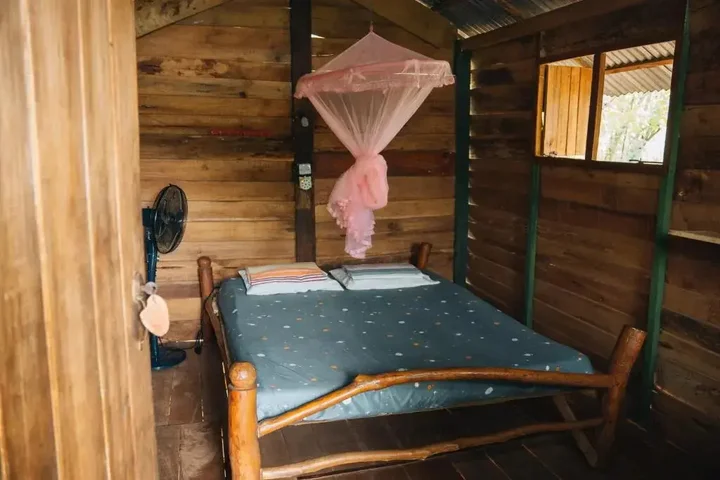 Хабарана: Angry Birds Tree house