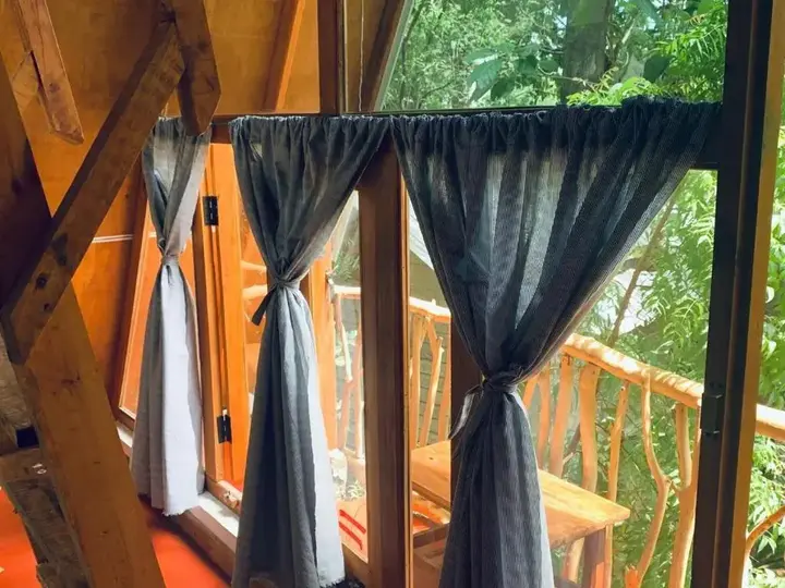 Хабарана: Angry Birds Tree house
