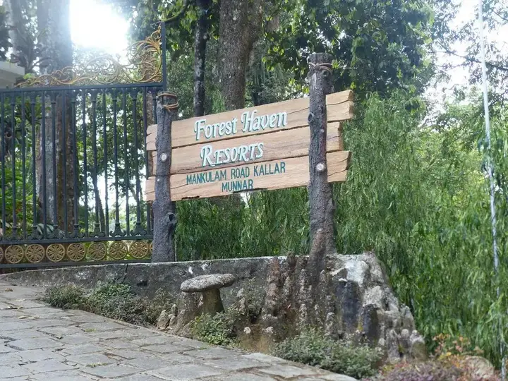 Forest Haven Resort — фото 4