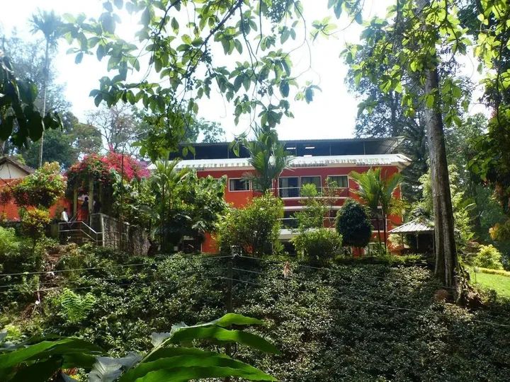 Куламаву: Forest Haven Resort