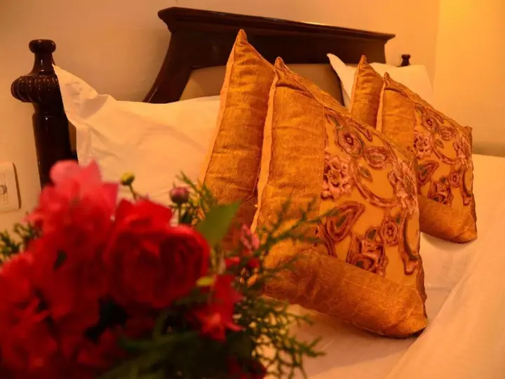 Савай-Мадхопур: Ankur Resort