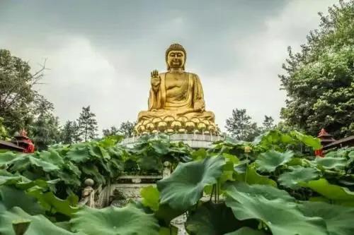 Чунцин: Huayan Zen