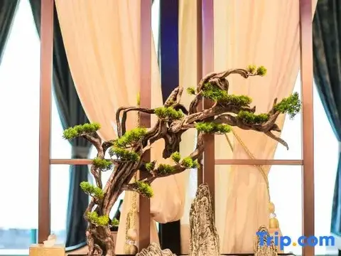 Иньчуань: Xiangyu Hotel