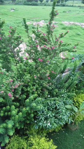 Кхаджурахо: Prem Homestay
