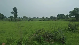 Кхаджурахо: Prem Homestay