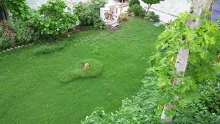 Кхаджурахо: Prem Homestay