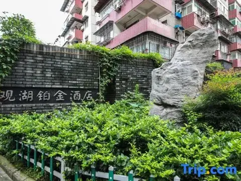 Ухань: Guanhu Platinum Hotel, Wuhan
