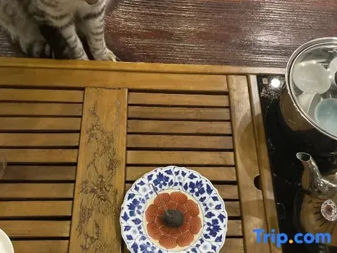Шангри-Ла: Zifengxuan Boutique Inn