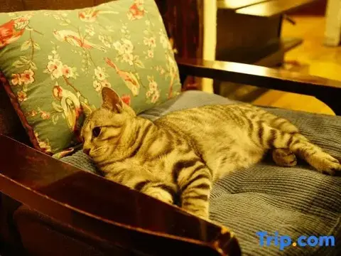 Шангри-Ла: Zifengxuan Boutique Inn