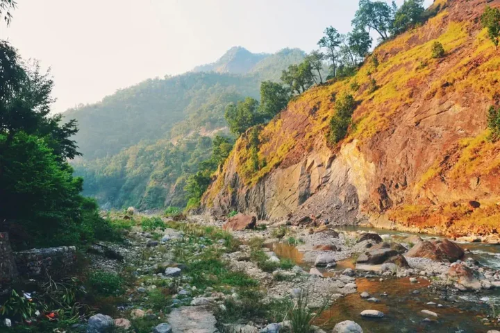 Ришикеш: Him River Resort
