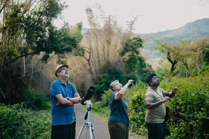 Ути: Jungle Retreat Masinagudi