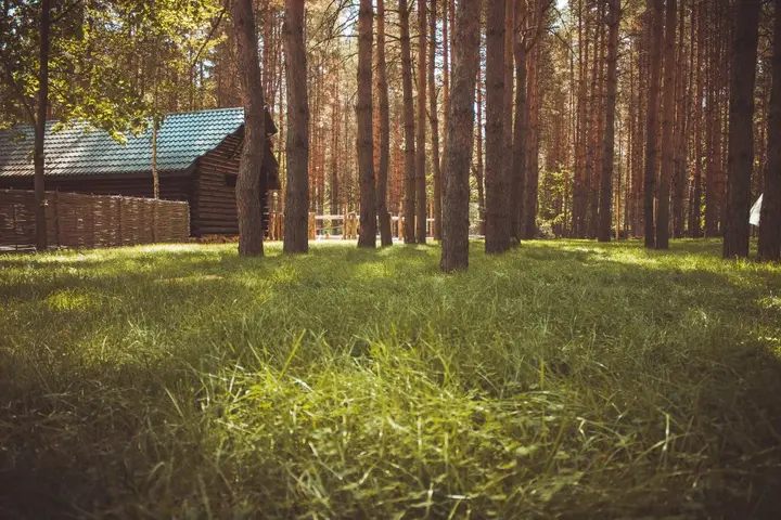Тамбов: Отель Лесная Сказка