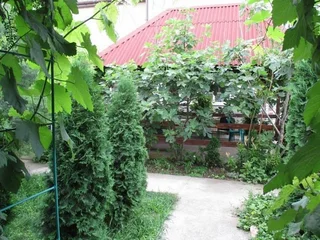Береговое (Бахчисарайский район): Гостевой Дом Летний Дом
