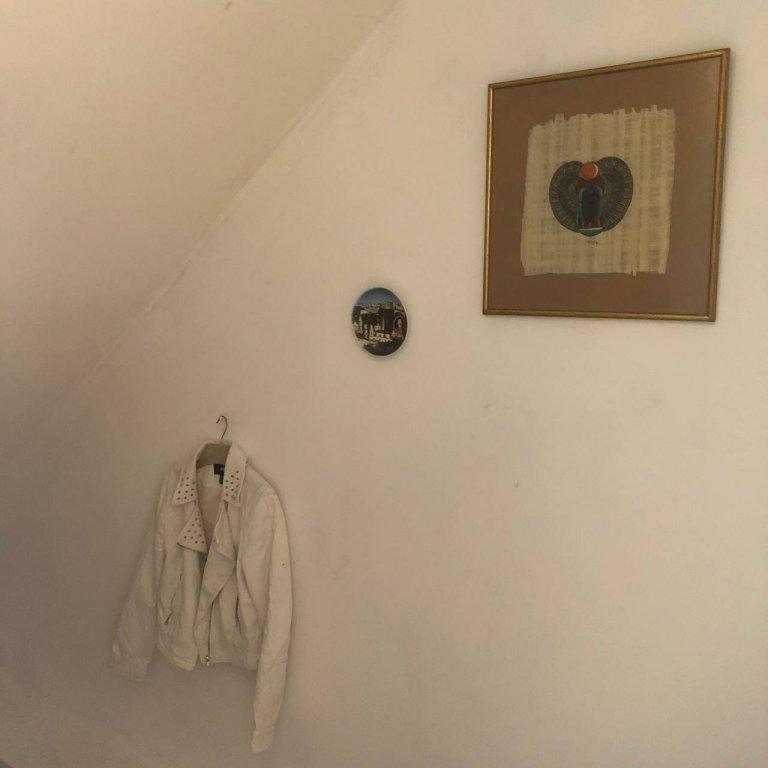 Сочи: Хостел Loft Garage Fabri