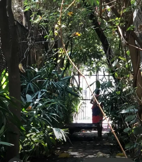 Бодх-Гая: Shantidevi Ashram 's Guest House